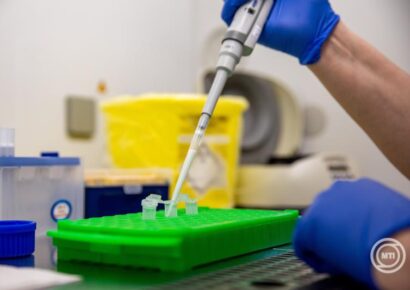 Egy hónappal meghosszabbítja Szlovákia a száj- és körömfájás betegség miatt bevezetett ellenőrzéseket a magyar és az osztrák határon