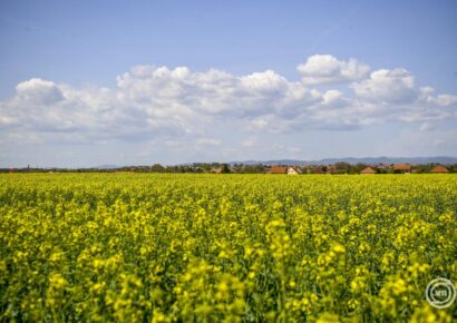 Mutatjuk, szükséges-e esernyő és kabát ezen a héten