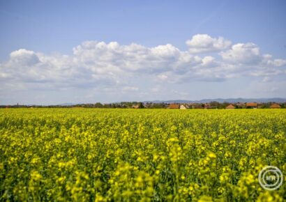 Többnyire napos idő várható a hétvégén, de vasárnap ismét hidegfront érkezik