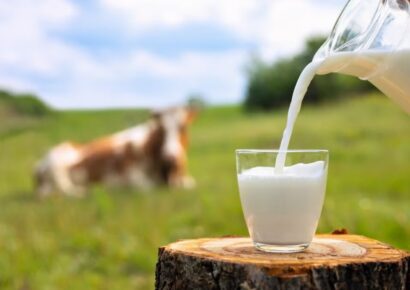 Laktózmentes UHT tejet hívott vissza a Kifli.hu