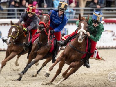 Nemzeti Vágta: A Vajdasági Vágtával szombaton elkezdődnek az előfutamok