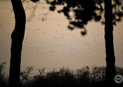 Változékony idő várható a hétvégén