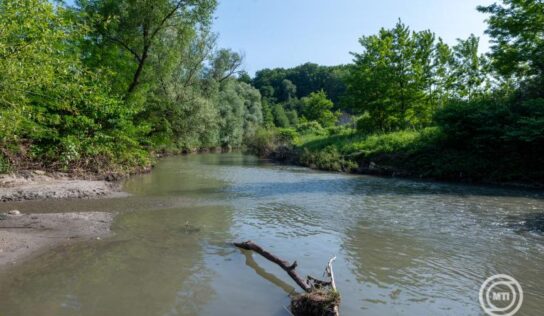 Parajd: A Nagy-Küküllőn és a Maroson is meghaladja már a megengedett értéket a só koncentrációja