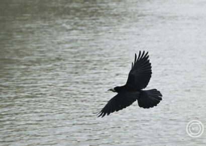 Szombaton 4 óra 42 perckor lesz a nyári napforduló