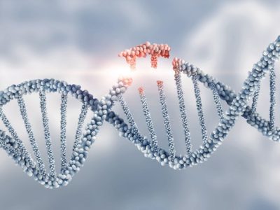 A génterápiák fejlesztését segítő diagnosztikai módszert fejlesztettek ki magyar kutatók