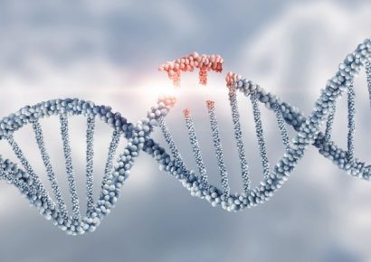 A génterápiák fejlesztését segítő diagnosztikai módszert fejlesztettek ki magyar kutatók