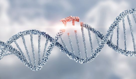 A génterápiák fejlesztését segítő diagnosztikai módszert fejlesztettek ki magyar kutatók