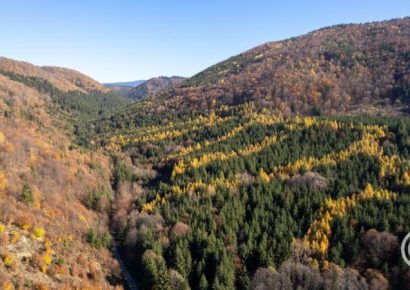 Ma este megkezdődik a csillagászati ősz