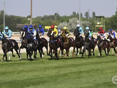 Hétvégén nemzetközi sztárparádé lesz a százéves Kincsem Parkban