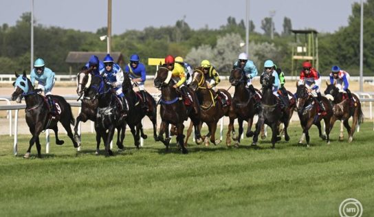 Hétvégén nemzetközi sztárparádé lesz a százéves Kincsem Parkban