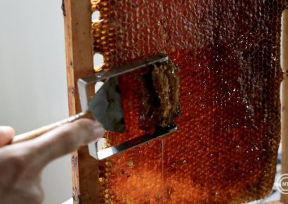 Több mint 55 tonna mézet vont ki a forgalomból a Nébih