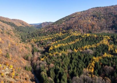 Pénteken még esős idő várható, majd kisüt a nap