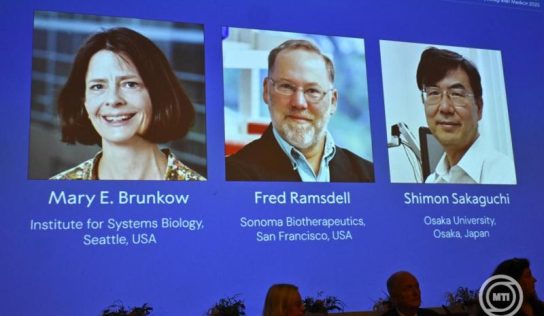 Nobel-díj: Két amerikai és egy japán tudós kapja idén az orvosi-élettani Nobel-díjat