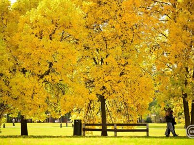 Október 23. – Késő nyáriasan meleg, de szeles idő várható a nemzeti ünnepen