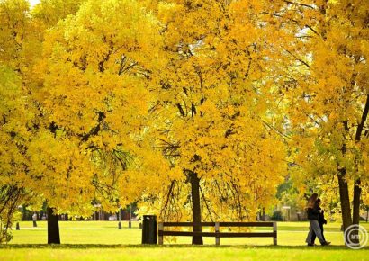 Október 23. – Késő nyáriasan meleg, de szeles idő várható a nemzeti ünnepen