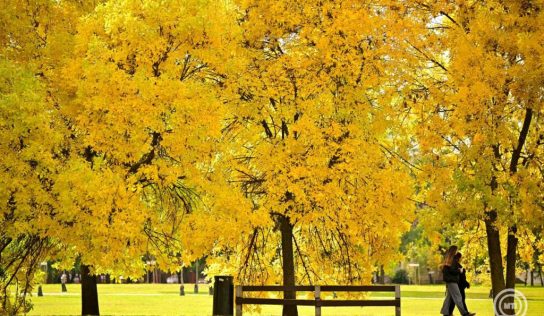 Október 23. – Késő nyáriasan meleg, de szeles idő várható a nemzeti ünnepen