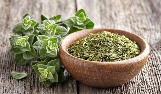 Morzsolt oregánót hív vissza a forgalmazó olívalevél-szennyeződés miatt