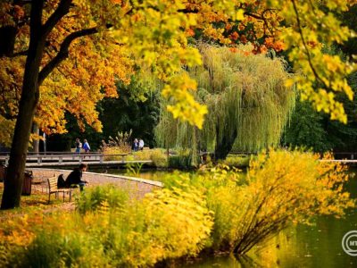 Folytatódik a nyugodt, őszi időjárás a hétvégén