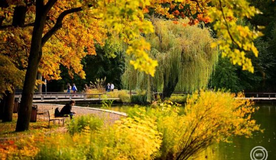 Felhős, de enyhe idő várható a héten