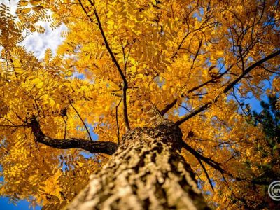 Folytatódik a változékony időjárás a héten is