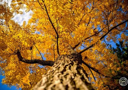 Folytatódik a változékony időjárás a héten is