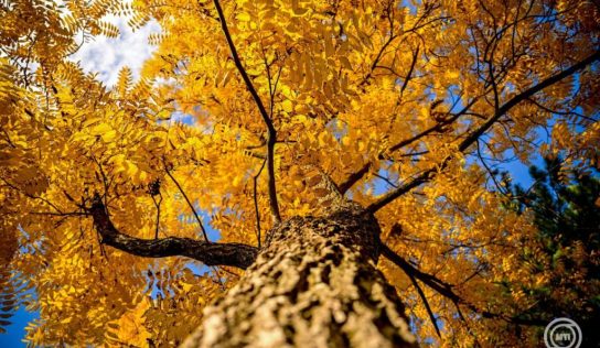 Folytatódik a változékony időjárás a héten is