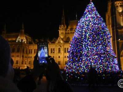 Nyírségi fenyőfa lesz az ország karácsonyfája