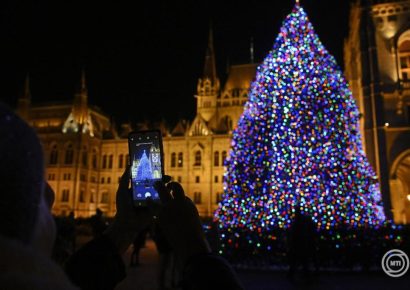 Nyírségi fenyőfa lesz az ország karácsonyfája