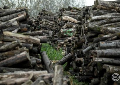 Megkezdődött a szociális tűzifa kiosztása