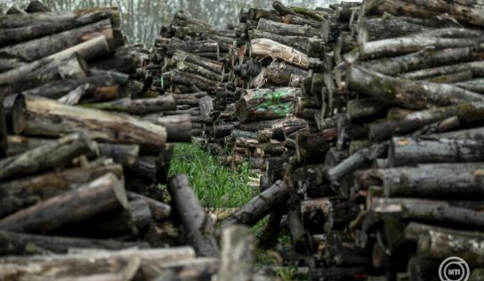Megkezdődött a szociális tűzifa kiosztása