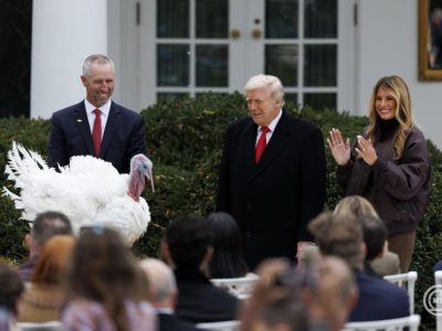 Donald Trump elnöki kegyelmet adott két pulykának követve a Hálaadáshoz kapcsolódó hagyományt