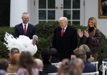 Donald Trump elnöki kegyelmet adott két pulykának követve a Hálaadáshoz kapcsolódó hagyományt