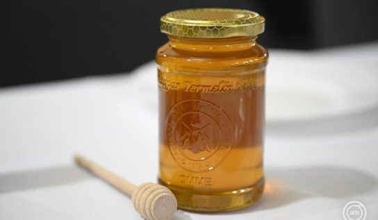 Átadták az Év kiváló magyar méze verseny díjait