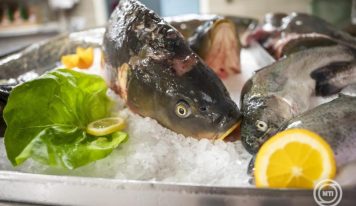 Elég magyar hal minden család asztalára