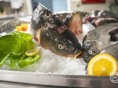 Elég magyar hal minden család asztalára