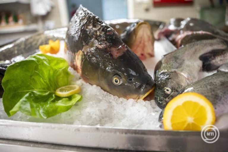 Elég magyar hal minden család asztalára