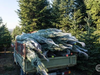 Elindult a karácsonyi ellenőrzéssorozat