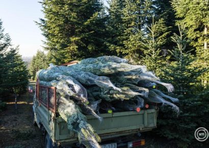 Elindult a karácsonyi ellenőrzéssorozat