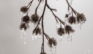 Lesz fehér karácsonyunk? Mutatjuk!