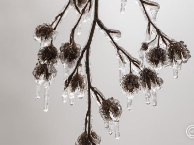 Lesz fehér karácsonyunk? Mutatjuk!