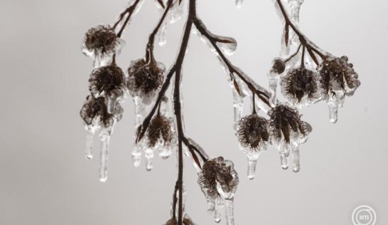 Lesz fehér karácsonyunk? Mutatjuk!