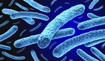 Leprás megbetegedést igazoltak Kolozsváron egy ázsiai nőnél