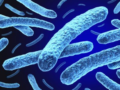 Leprás megbetegedést igazoltak Kolozsváron egy ázsiai nőnél