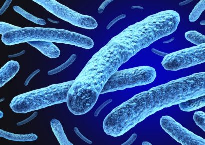 Leprás megbetegedést igazoltak Kolozsváron egy ázsiai nőnél