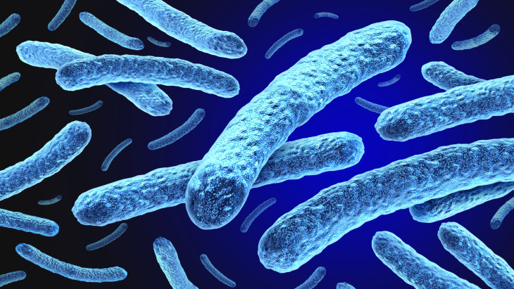 Leprás megbetegedést igazoltak Kolozsváron egy ázsiai nőnél