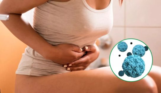 Calicivírus okozta a tömeges megbetegedést a XIII. kerületi óvodákban